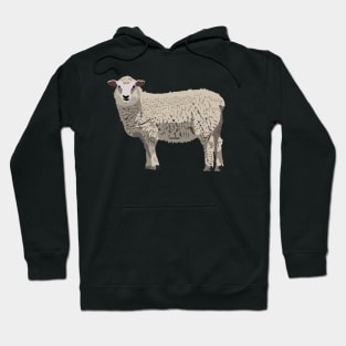 Sheep Hoodie